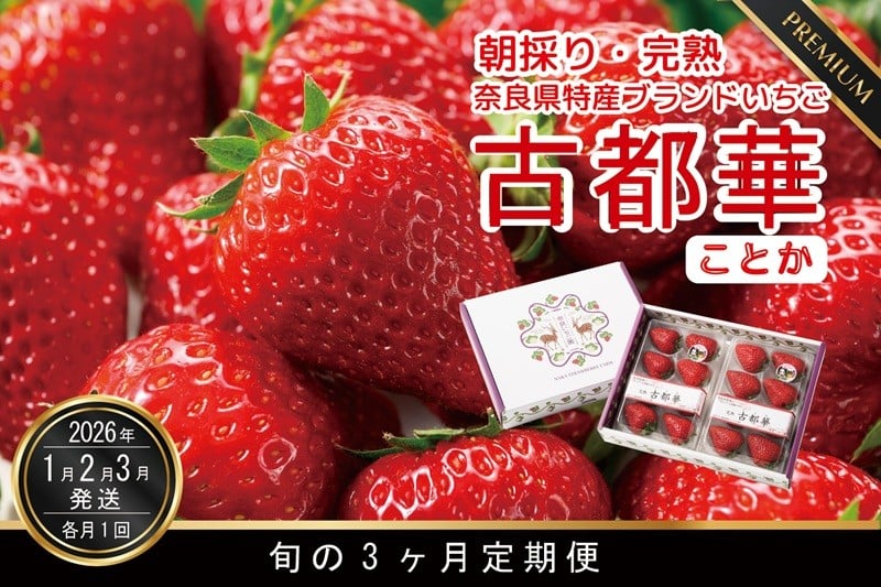 
            定期便 先行予約 数量限定 古都華 【1・2・3月発送3ヶ月定期便】奈良県特産 高級ブランドいちご「古都華」旬の３ヶ月定期便 // いちご イチゴ 古都華 フルーツ 果物 旬 限定  ブランド 定期便  朝採り 完熟 いちご ことか イチゴ 先行予約 贈答用 ギフト 化粧箱
          