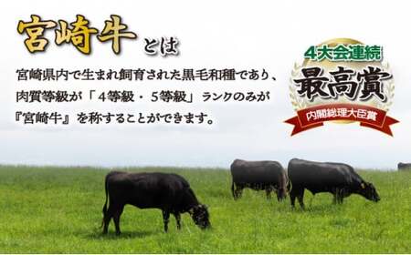 ＜2025年11月発送分＞宮崎牛モモブロック（真空パック）