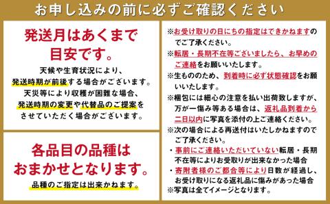【6回定期便 Aコース】【ご家庭用】フルーツ定期便 旬のフルーツセット/ いちご 柑橘類 スイカ メロン 梨 キウイ / 南島原市 / 長崎県農産品流通合同会社 [SCB065]