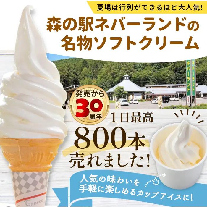 〈1週間以内発送〉着色料・香料不使用！生ソフトクリームアイス　16個入り アイスクリーム ミルク アイス 根羽村 ネバーランド 12000円