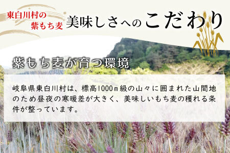 【令和7年度産】 東白川村産 紫もち麦 ダイシモチ 150g×3袋 計450g お米 こめ もち麦 雑穀 精米 ご飯 お取り寄せ