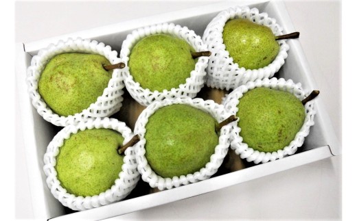 西洋梨（ラ・フランス）３ｋｇ以上　７Ｌサイズ　0017-2618