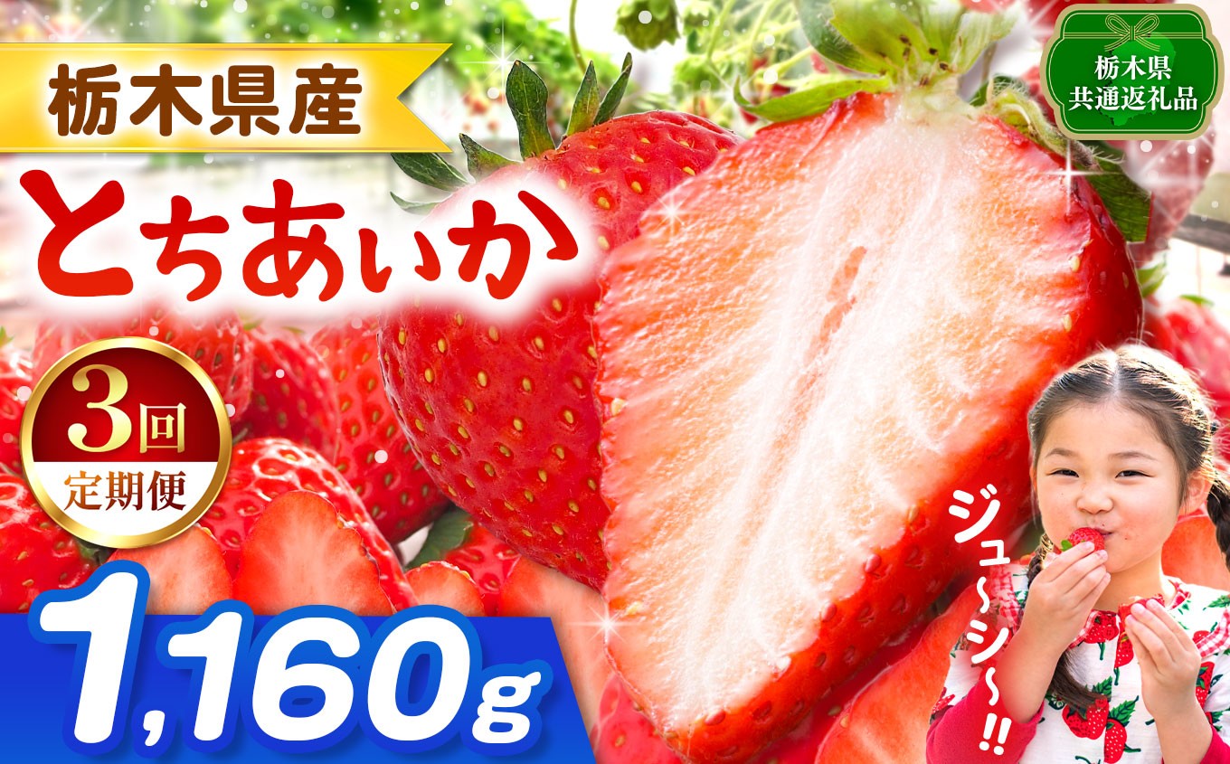 
                  【栃木県共通返礼品】【先行予約】【定期3回】とちあいか 1160g | 果物 くだもの フルーツ 野菜 やさい ヤサイ 苺 イチゴ いちご とちあいか 新鮮 甘い 数量 限定 美味しい 果物 共通返礼品 フルーツ デザート 栃木県 那珂川町 送料無料
                