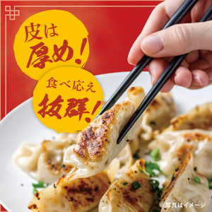 旨味たっぷり！本場プロの中華料理人が作る みとしゃんジャンボ餃子 30個（CS-5）