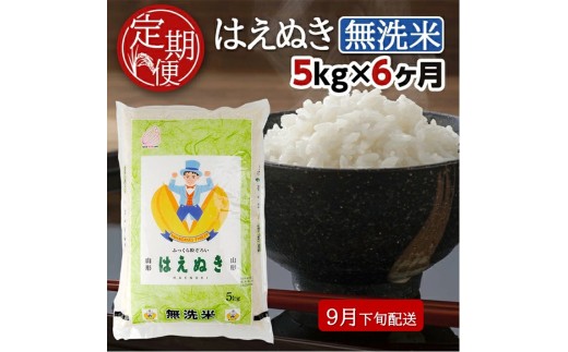 9月下旬発送開始／【6回定期便】無洗米 はえぬき　5kg×6回(計30kg) TO SH0077