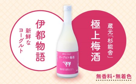 ヨーグルト梅酒 720ml×2本 糸島市 / 南国フルーツ株式会社[AIK023]