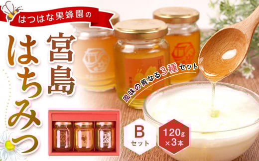 
            はつはな果蜂園の宮島はちみつセット B
          