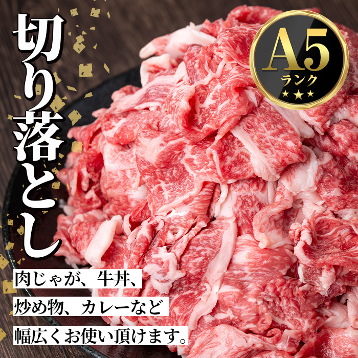 s590 ＜先行予約受付中！2025年1月中旬より順次発送予定＞鹿児島県産 北さつま高崎牛 切り落とし肉 (計約1kg・約200g×5)黒毛和牛 A5ランク A5 雌牛 切落し 切り落し  牛肉 小分