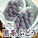 【ふるさと納税】＜25年発送先行予約＞黒系ぶどう2房(合計1kg程度) ふるさと納税 ぶどう シャインマスカット 笛吹市 国産 人気 期間限定 果物 フルーツ 旬 山梨県 送料無料 229-005