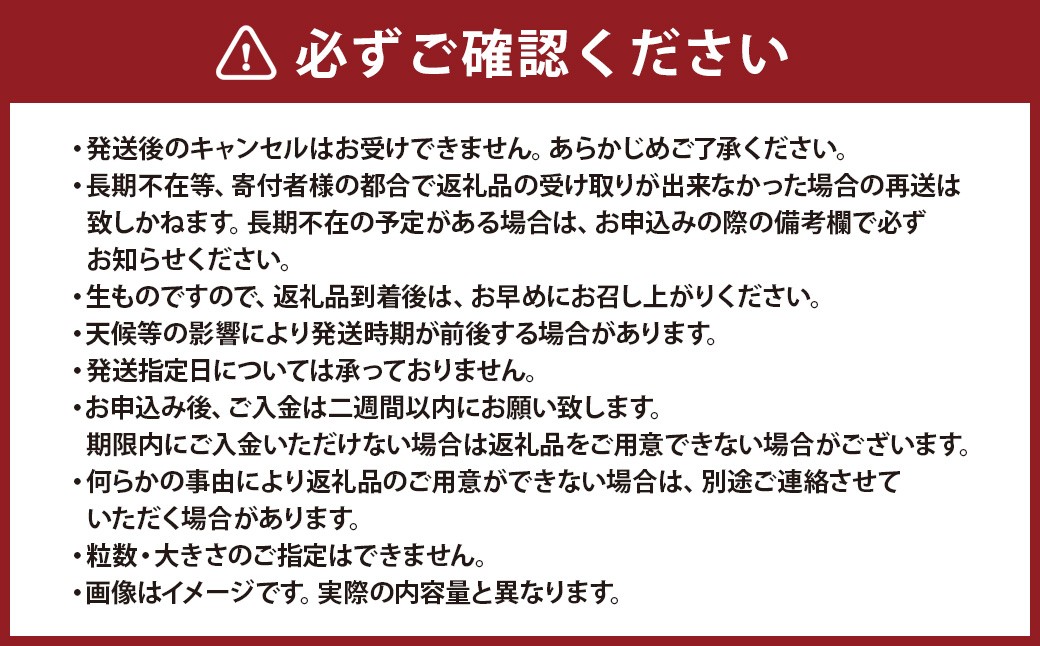 早採りサラダ玉ねぎ/5kg（優品・サイズ混合）