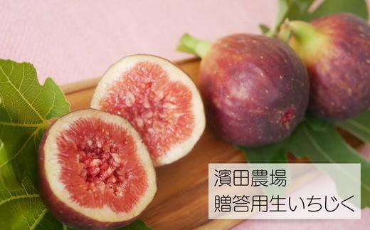 
【贈答用】生産者直送！無花果（いちじく）12粒入り 約1kg
