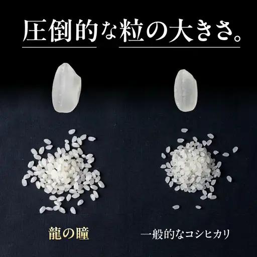 【2025年産米】（2026年9月発送）2kg×1 飛騨産・龍の瞳（いのちの壱）株式会社龍の瞳直送 米 令和7年産 精米【14-11【9】】りゅうのひとみ いのちのいち 下呂市 龍の瞳
