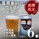 【ふるさと納税】クラフトビール　WAN50(ワンフィフティ) 4.5% 350ml×6本 ビール お酒 ご当地ビール 地ビール 宅飲み 家飲み BBQ バーベキュー ギフト プレゼント 取り寄せ 鹿児島 奄美