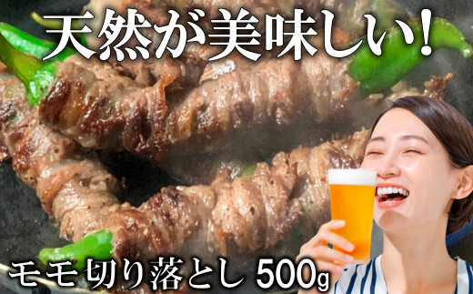 B385a 新感覚 ジビエ 平戸いのしし 猪肉 モモ肉 切り落とし 500g 焼肉 すき焼き 牡丹鍋 ( ぼたん鍋 )用 イノシシ肉 訳あり（ モモ 切落し肉 ） 佐世保市・平戸市・松浦市産 天然猪 