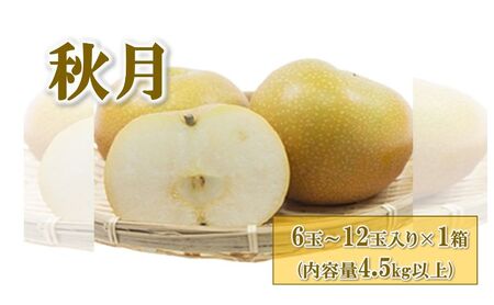 【先行予約】梨(秋月) 6玉～12玉入り×1箱 (4.5kg以上) ※2025年9月上旬～9月下旬頃に順次発送予定