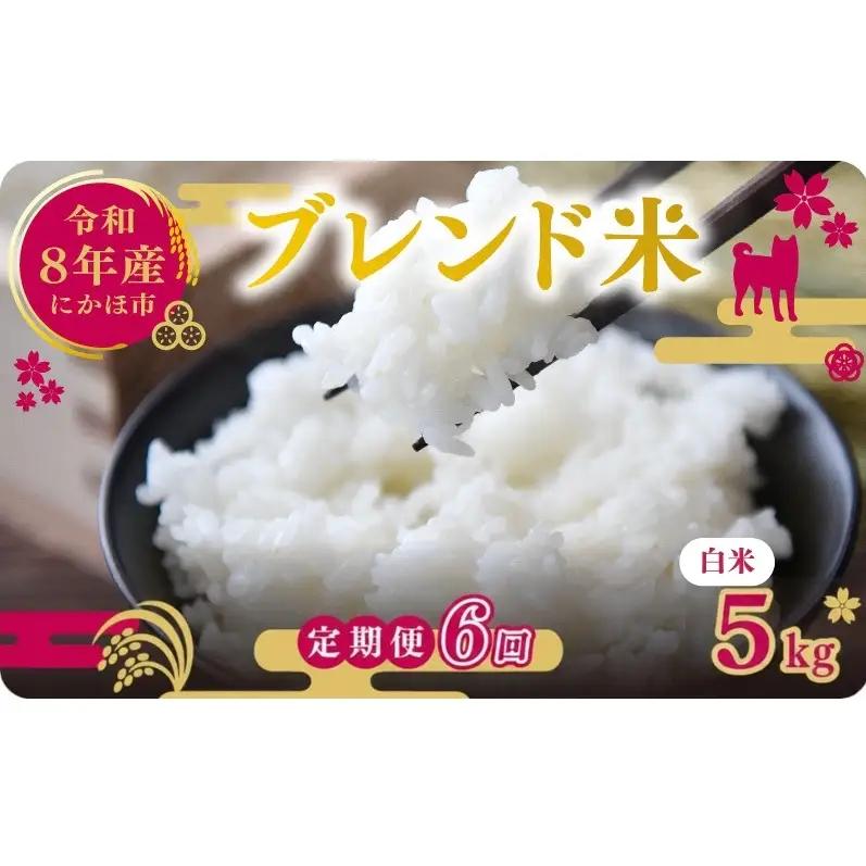 【先行予約 定期便6か月】白米 ブレンド米 5kg  令和8年度産 白米