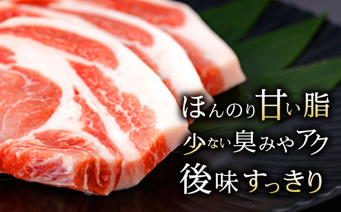 【2回定期便】諫美豚おすすめバラエティセット3kg / 諫美豚 豚肉 肩ロース ステーキ モモ 切り落とし ハンバーグ ロースステーキ / 諫早市 / 株式会社土井農場 [AHAD001]