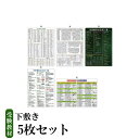 【ふるさと納税】 受験教材下敷き　5枚セット｜茨城県 つくば 下敷き 文房具 教材 ツール 高校受験 暗記 記憶 視覚 勉強 学習 受験 テスト 試験 隙間時間 中学生 理科 国語 数学 歴史 英語 5教科 セット フライング・エッグ 人気 おすすめ