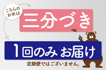 秋田県産 あきたこまち 10kg【3分づき】(2kg小分け袋)【1回のみお届け】令和5年産　お届け時期選べる お米 おおもり 発送時期が選べる