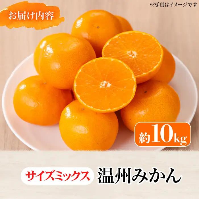 ＜先行予約！2026年12月上旬以降順次発送予定＞香川県産 温州みかん(約10kg/サイズミックス) 国産 果物 フルーツ ミカン 柑橘 新鮮 【man119-B】【Aglio nero】