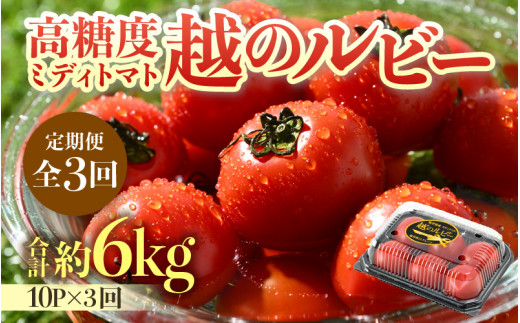 【先行予約】《定期便3回》高糖度 ミディトマト 越のルビー 約2kg 10パック（計約6kg）／ 福井県産 ブランドトマト 中玉 農家直送  野菜 フルーツ並み 甘い 有機肥料 低農薬 サラダ ※2025年9月中旬より順次発送