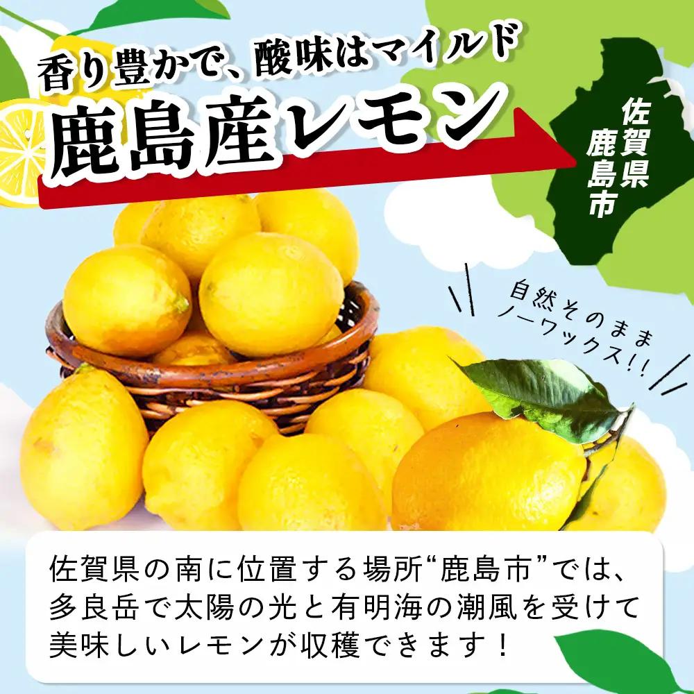希少な国産レモン【宝韶寿レモン】訳アリ　約2kg（サイズ混合）【6月中旬より順次発送予定】柑橘 檸檬 ご自宅用 お菓子 料理 お酒 希少品種 佐賀県鹿島市 送料無料 B-127