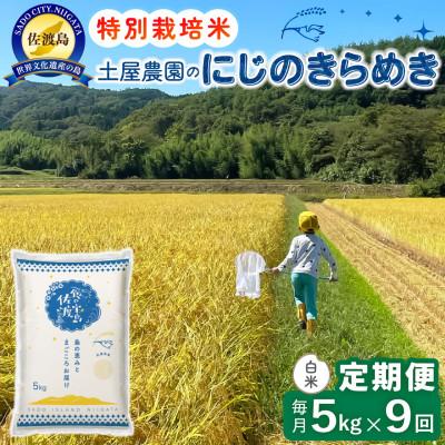 ふるさと納税 佐渡市 【毎月定期便】佐渡島産にじのきらめき 白米5kg 土屋農園 農家直送 特別栽培米　全9回
