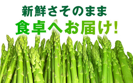 【先行予約】 山鹿市産 いけだ農園のアスパラガス 夏芽(MからLサイズ)　約1kg【いけだ農園】[ZFP001]