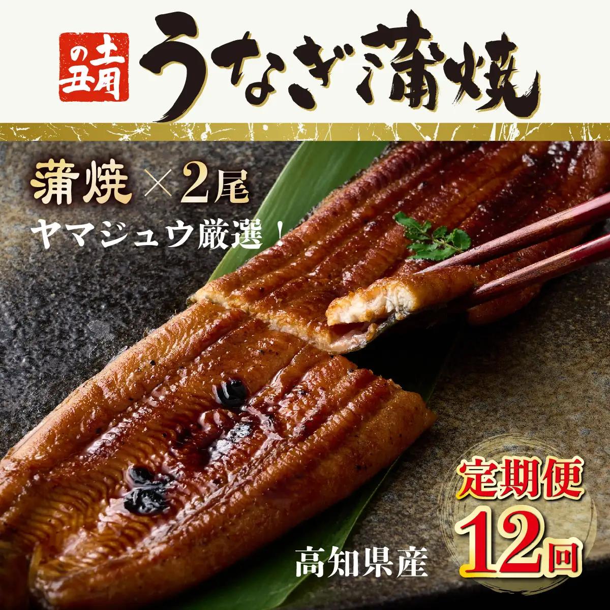 うなぎ蒲焼 2尾 定期便 12回 うなぎ