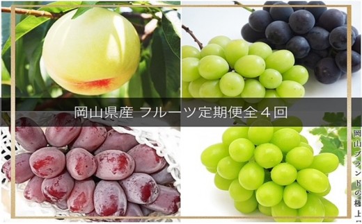 
                  【2026年 先行予約 】晴れの国 岡山 の フルーツ 定期便 4回コース 岡山県産 葡萄 ぶどう 桃 もも
                