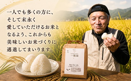 おいしいお米を作ることはもちろん、自然や生き物との調和を大切にしながら、
一つひとつ丁寧に育てています。