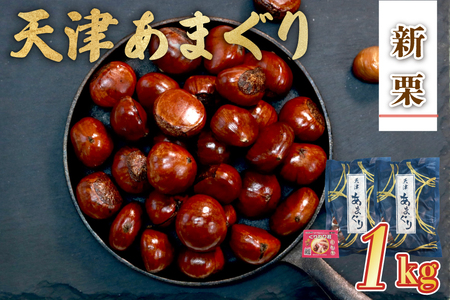 天津甘栗 1kg（甘栗 栗爪付き 殻付き 焼き栗 あまぐり ギフト お土産 お菓子 京都府 八幡市）