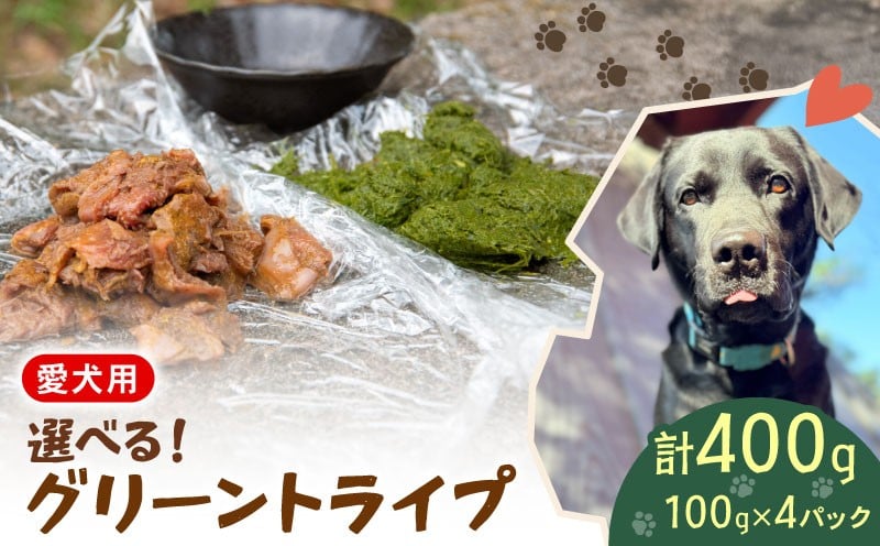 
            犬用 シカ の グリーントライプ セット 選べる 2種類 100 g× 4 袋 ジビエ  鹿肉 肉 鹿 胃 ペットフード ドッグフード ペット 安心 健康 おやつ 犬 国産 ごはん トッピング ペット ペット用品 ペットフード 犬のおやつ  犬用 ペット用 ご褒美 乳酸菌 全犬種対応 小分け 個包装
          