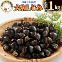 【ふるさと納税】大和 しじみ 1kg (500g×2) 大玉 冷凍 砂抜き済 大洗町 ブランド認証品 三大産地 涸沼産 レシピ付 シジミ 蜆