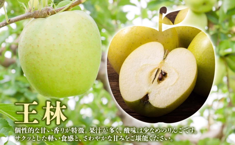 サンふじ 王林 約10kg 贈答用 特A 12月発送 化粧箱入 りんご リンゴ 果物 フルーツ くだもの 旬 青森県産 お取り寄せ 贈り物 青森県 西目屋村