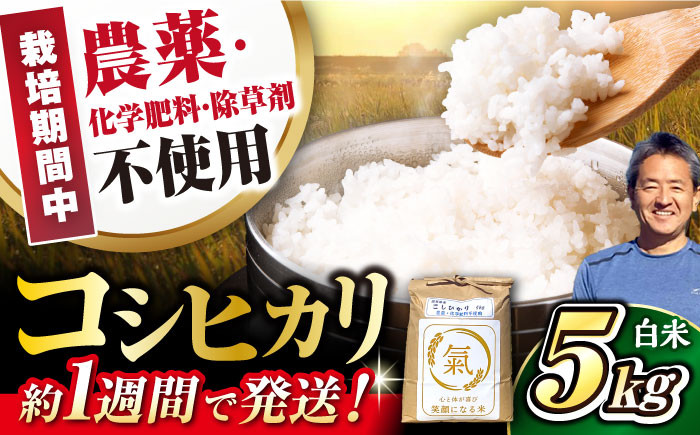 
            【スピード配送】有機栽培 コシヒカリ 5kg 白米 令和6年度産　滋賀県長浜市/七神氣 金子嘉徳 [AQCN001] コシヒカリ こしひかり 有機栽培 米 お米 白米  5kg 
          