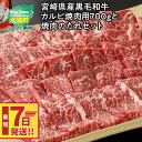 【ふるさと納税】【レビューキャンペーン対象】宮崎県産黒毛和牛 カルビ焼肉用700gと焼肉のたれセット - 国産牛肉 焼き肉用カット 冷凍 タレ付き 旨味が強い 焼肉の定番 良質な赤身にほどよい脂 BBQ スピード配送便 送料無料【宮崎県木城町】