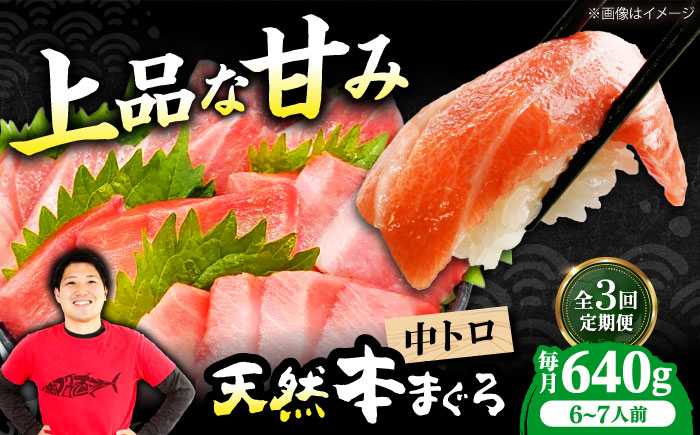 
            【全3回定期便】極上！たね熟天然本まぐろ中トロ(640g) 天然 マグロ 鮪 中トロ 刺身 魚 魚介 魚介類 海鮮丼 本マグロ 本まぐろ 本鮪 中とろ 中トロ 冷凍 お刺身 お寿司 大阪府高槻市/本まぐろ直売所 [AOCE034]
          