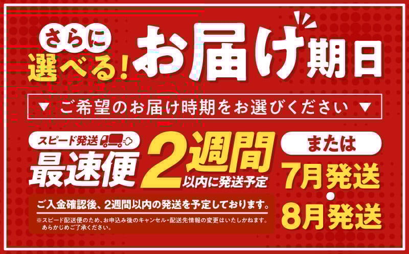 宮崎牛霜降り（ロース）ステーキ250g×2枚 計500g　A206