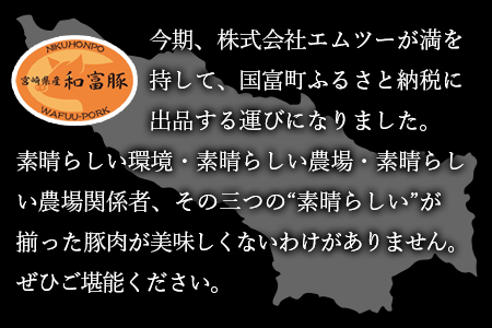 ＜和富豚 じゃがじゃがセット 1.7kg＞翌月末迄に順次出荷【 豚 肉 豚肉 国産 宮崎県産 エムツー 送料無料 -】