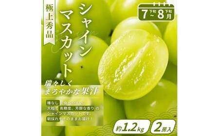 【フルーツ定期便・全4回】品質に自信あり！くしがきの里から直送　桃・シャインマスカット・はれひめ・まりひめを季節ごとにお届け♪ / 定期便 桃 もも みかん 柑橘 シャインマスカット マスカット いち