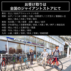 【フレームのみ】GIANT PROPEL ADVANCED SL FRAMESET (カラー：Cosmic Dust) ｜ ﾊﾞｲｸ自転車ﾊﾞｲｸ自転車ﾊﾞｲｸ自転車ﾊﾞｲｸ自転車【GIA001_c】