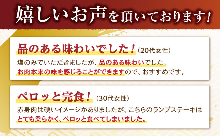 【12回定期便】【贅沢赤身セット】 モモ ステーキとランプ ステーキ 総計600g (150g×4枚) / モモステーキ ランプステーキ 長崎和牛 A4～A5ランク / 諫早市 / 野中精肉店 [AH