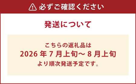 朝採りとうもろこし 恵味ゴールド 10本入り 【2026年7月上旬～8月上旬発送予定】