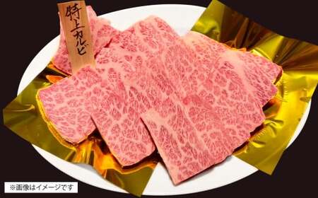 博多和牛 特上カルビ 約500g（約250g×2パック） カルビ 特上カルビ 牛肉 肉 博多和牛 付けダレ 冷凍 福岡県産