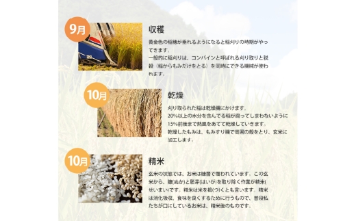 にこまる 5kg×2袋 計10kg