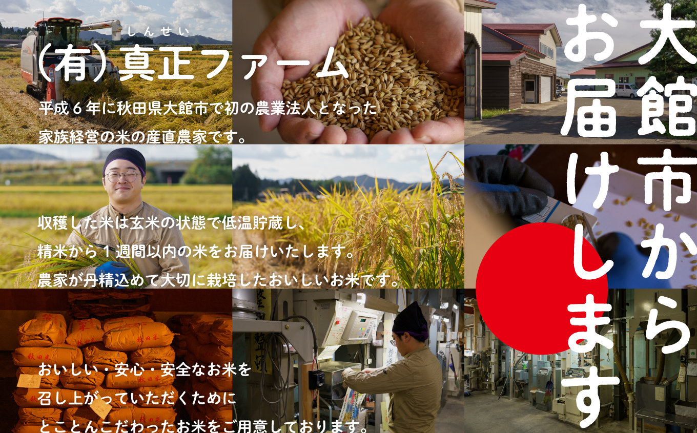 【定期便6ヶ月】令和7年産 秋田県産米「あきたこまち（無洗米）」 30kg（5kg×6袋）【真正ファーム】