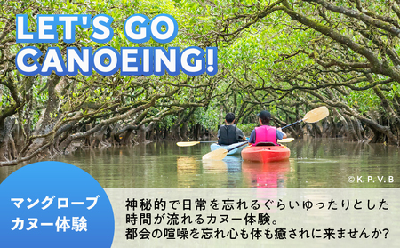 奄美市 に 泊まる ふるさと納税 旅行 クーポン【 12,000円 分 】 A184-004 割引券 12,000円分 ツアー 電子クーポン 宿泊 チケット 観光 国内 九州 鹿児島県トラベル 奄美旅