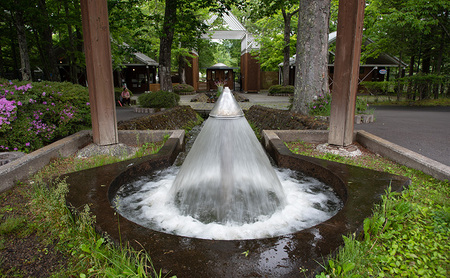軽井沢タリアセン　大人2名　入園券 チケット 入場券 優待券 塩沢湖 美術館 レストラン 買い物 ショップ リゾート 自然 リラックス 