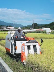 R5年度米 武川米コシヒカリ 25㎏